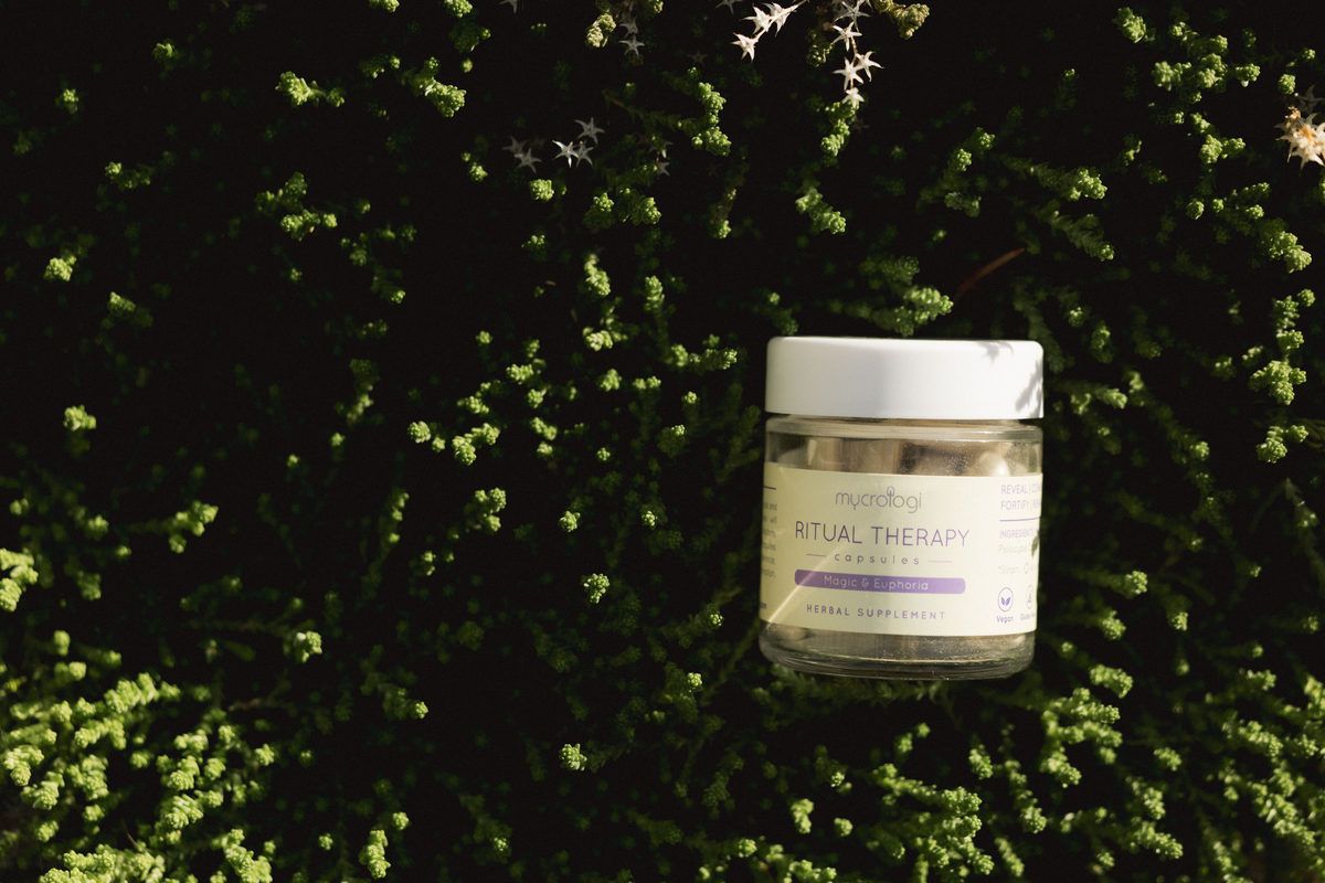 A jar of Ritual Therapy capsules resting in dark green foliage.