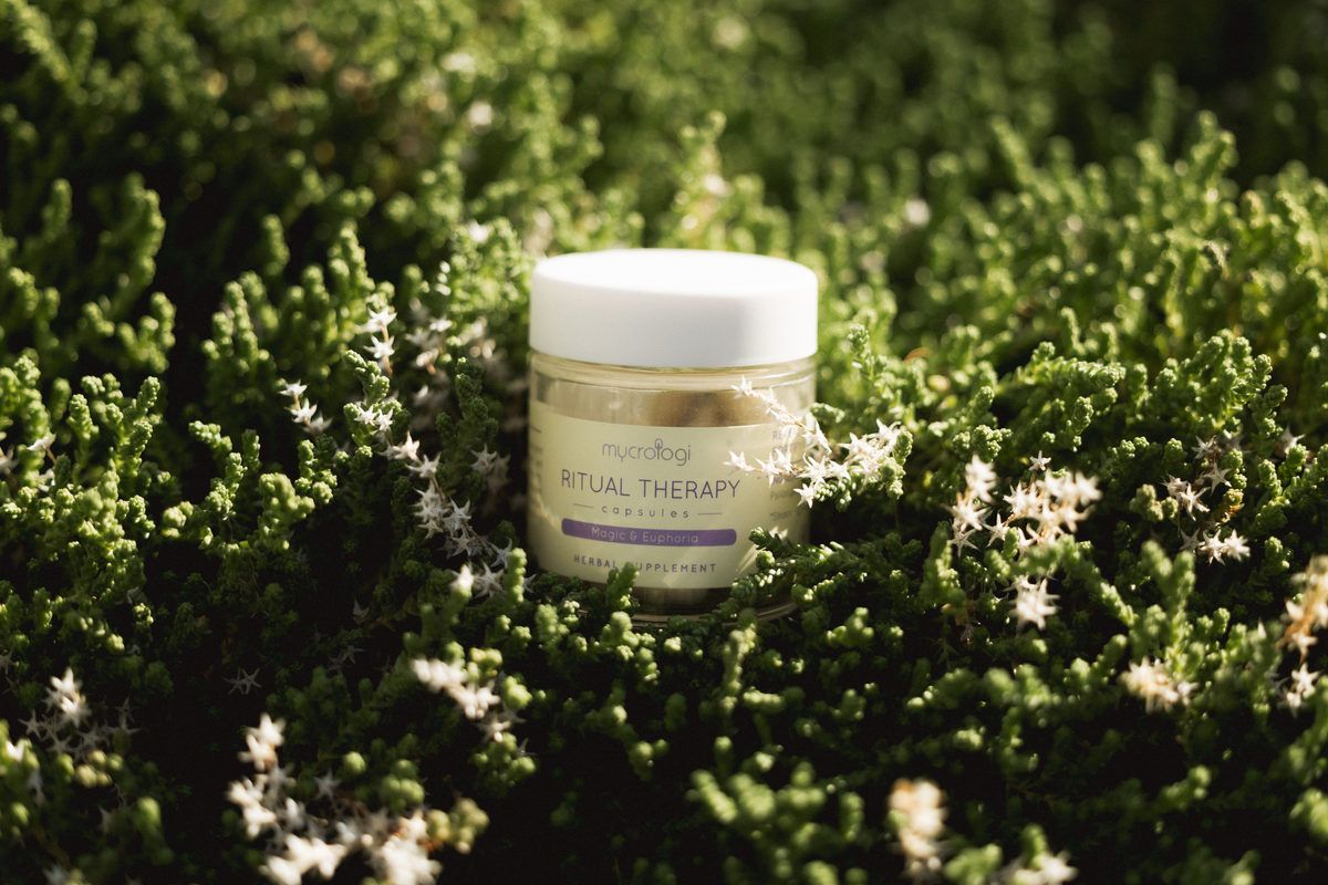A jar of Mycrologi capsules resting in flowering thyme in morning light.