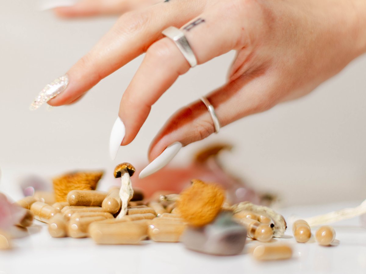 Dried Golden Teacher mushrooms and capsules on a white surface, a hand reaching towards them.