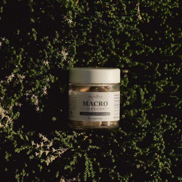 Chakra Balance, a jar resting in garden greenery.