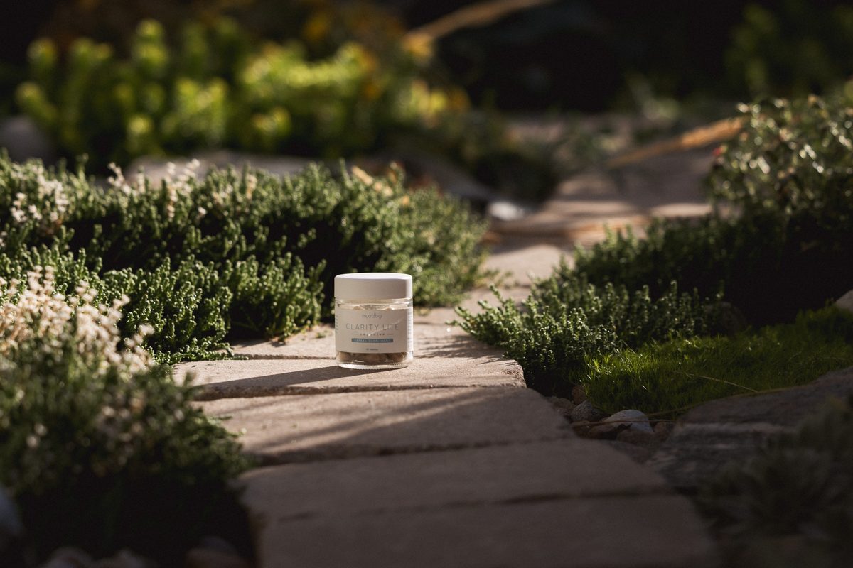 A jar of Mycrologi capsules resting on a stone path through a garden.