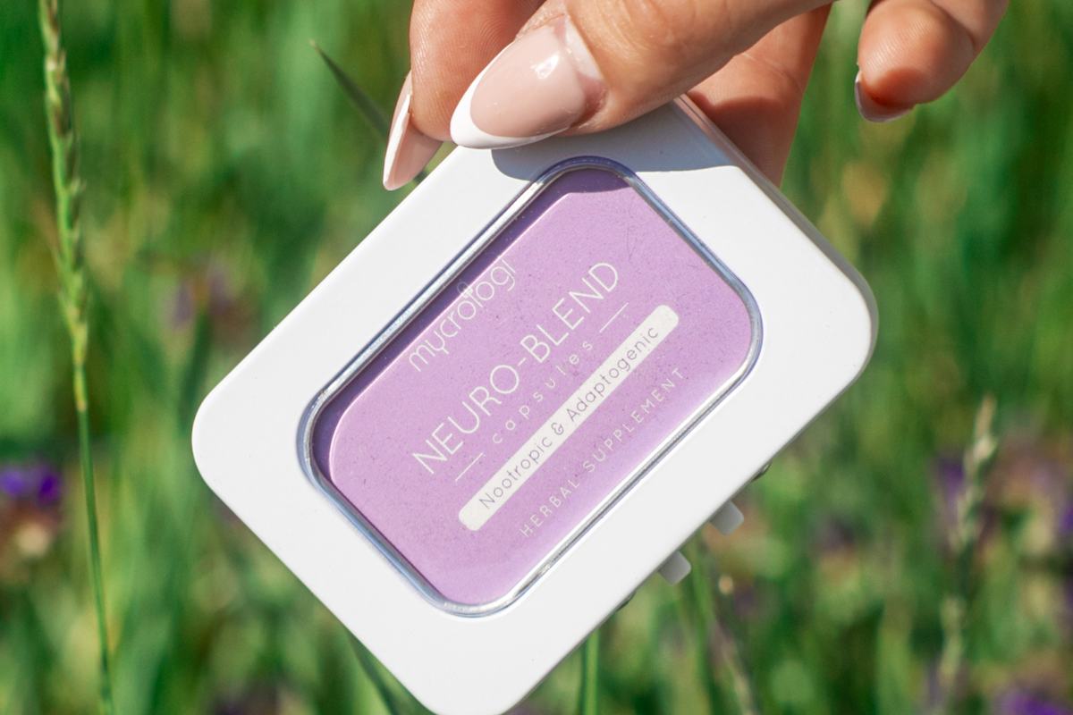 A hand holding a Mycrologi Neuro-Blend tin in long grass